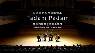 Padam Padam  Amber Quartet China  琥珀四重奏 [upl. by Spence]