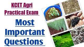 Most Important Questions For Agriculture Practical Exam  My Exam Updates [upl. by Aronid907]