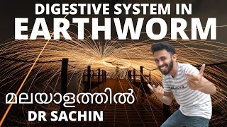 digestive system in earthworm  malayalam  anatomy of earthworm  class 11  knowledge vlogger [upl. by Aklam10]