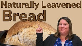 How To Make Naturally Leavened Bread [upl. by Helban]