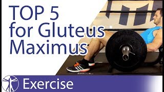 Top 5 Gluteus Maximus Exercises [upl. by Ahsekam]