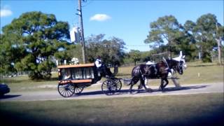 Horse amp Carriage Rides amp Events Inc funeral for Tyrell Taylor with Cambridge Funeral Home [upl. by Nayek]