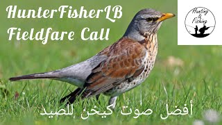 أفضل وأقوى صوت كيخن للصيد Best Hunting Sound of Fieldfare  Turdus Pilaris [upl. by Nnahtebazile]