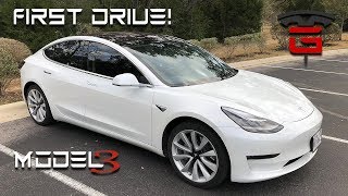 Model 3 First Drive [upl. by Tonjes366]