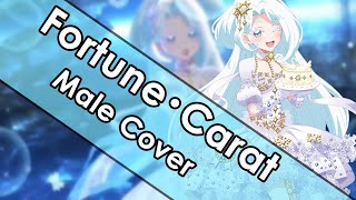 【Aru】 Fortune Carat  Kiratto Pri Chan Male Cover [upl. by Kcir]