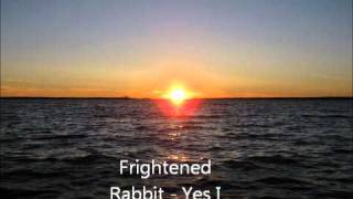 Frightened Rabbit  Yes I Would [upl. by Oznerol]