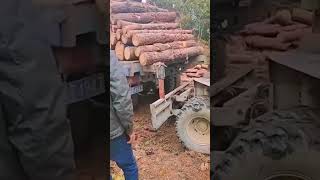 Preparation process before transporting logs [upl. by Ilojne]