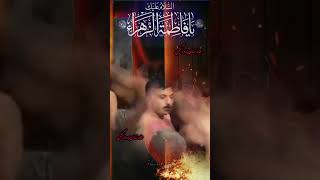 Shahadat Bibi Fatima slwt Shahdat BibiFatima poetry ayyamefatimanoha2024 chehlumimamhassanص [upl. by Ardeth774]