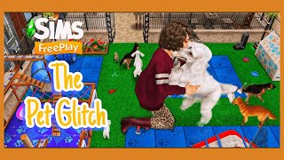 The SimsFreePlay Pet Glitch How to do the Pet Glitch 2024Pet Shop Floor Plan [upl. by Oam]