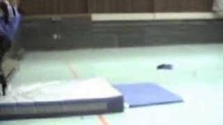 wallflip training [upl. by Monahan]