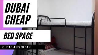 Bed Space Dubai  Dubai Best And Cheap Bed Space  Bed Space Business [upl. by Wiatt]