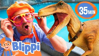 Blippi Meets Stanley The Dinosaur  BEST OF BLIPPI TOYS  Educational Videos for Kids [upl. by Chemar72]