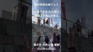 「お菓子まき福井の伝統行事大人用３」福井いちほまれ福井のブランド米米粉入りチョコレートサンド、饅頭など「越前若狭お城フェス2024、武将隊による」福井市 中央公園 掘割。2024年10月14日 [upl. by Orenid576]