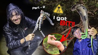 Herping vlog ep12part2CobrasKraits and Vipers🐍 [upl. by Ciapas]