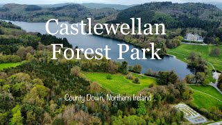 Castlewellan Forest Park  County Down  Northern Ireland  Ulster  United kingdom [upl. by Patterman298]