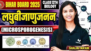 लघुबीजाणुजनन Microsporogenesis  Class 12th Biology by Shalini Maam  Bihar Board [upl. by Nylirehs344]