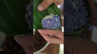 The wrapping of Nonya rice dumpling [upl. by Pesvoh634]