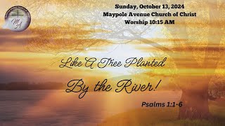 Join Maypole Ave Church of Christ For Worship [upl. by Ennairb]