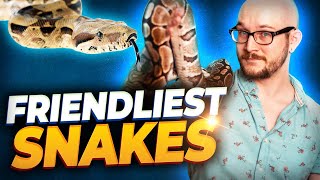 The 5 Friendliest Pet Snakes You Can Own  Meet My New and Rare Snake [upl. by Dlorad625]