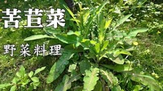 教你去除野菜的苦味，去苦的野菜簡直油切聖品 How to eliminate field sowthisles bitter taste [upl. by Valaree108]