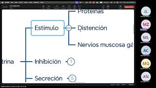 FISIOLOGIA FISIOPATOLOGIA  FASE 3  TEORIA 02  01 [upl. by Florida]