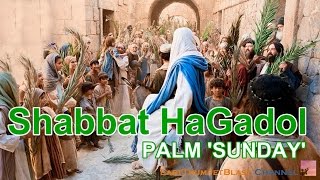 Shabbat HaGadol  Palm Sunday [upl. by Yrrep841]