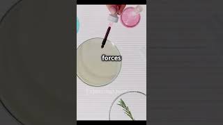 How capillary action actually works shorts nature learning [upl. by Giza109]