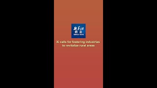 Xinhua News  Xi calls for fostering industries to revitalize rural areas [upl. by Heidi]