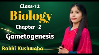 Gametogenesis  Unit Reproduction Ch 2  Part3  by Rakhi Kushwaha [upl. by Laubin]