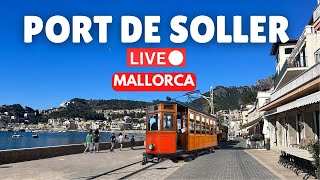 🔴 Live in Port de Soller Mallorca Majorca  17 November 2024 [upl. by Nyrhtak825]