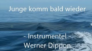 Junge komm bald wieder  Instrumentel  Werner Dippon [upl. by Antonius]