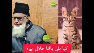 TARJUMAN E SALAFIAT ❤️ M MAQBOOL AKHRANI [upl. by Ylle]