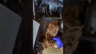 Air filter box Dodge Ram 1500 Hemi 57 L V8 hemi [upl. by Aneres784]