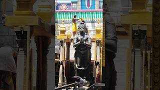 Today Namakkal anjaneyar kovil abhishekam [upl. by Talley]