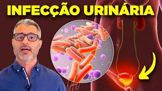 Infecção urinária causas diagnóstico e tratamento [upl. by Malloch876]