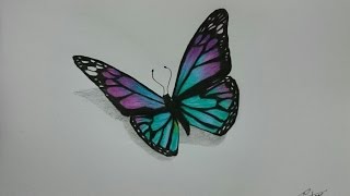 How to Draw a Realistic Butterfly with Colored Pencils [upl. by Adnilak]