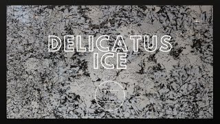 Sensa Delicatus Ice [upl. by Romelle]