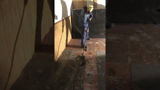 How To Scrape Asbestos Floor Tile The Bangers Way [upl. by Matthias295]