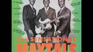 The Toots amp the Maytals  Its No Use [upl. by Dugas]