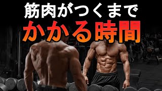 筋トレをして筋肉がつくのにかかる時間は？知らずに諦めないで！ [upl. by Hickey]