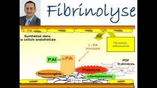 Fibrinolyse [upl. by Robb]