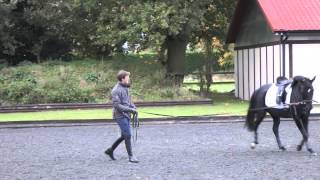 Michael Eilberg  Lunging a young horse  PONY Magazine [upl. by Nitsuj139]