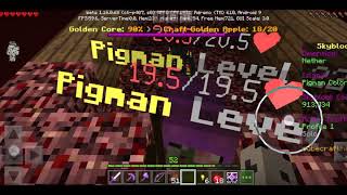 Pigman farm in Minecraft cubecraft Skyblock [upl. by Server907]