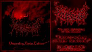 Neuropsychosis  quotDesecrating Divine Entitiesquot single  NSE 2024 [upl. by Corvese]