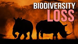 Biodiversity Loss  A Documentary [upl. by Gnot]