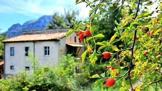 Renovating and Life in the Italian Mountains [upl. by Emrich]