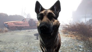 The Hilarious Way Fallout 4 Deals with Missing Dogmeat [upl. by Kary]