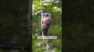 Explore Acadia Maine with Matt and OMSYSTEMCameras [upl. by Nagek]