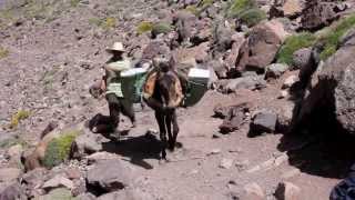 Marruecos Ascensión al Toubkal [upl. by Radu]