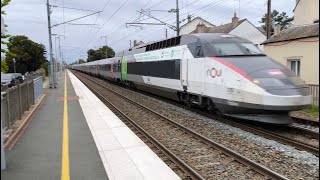 TGV ATLANTIQUE  Trainspotting at Ancenis [upl. by Buzzell]